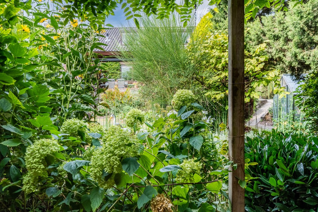 20250828, Noordeinde 91, Waddinxveen, Oudijk Makelaardij (90 of 114).jpg